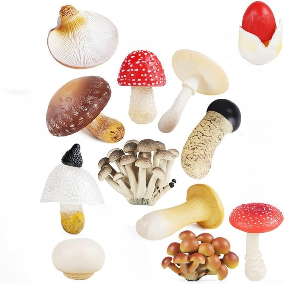 Mini Mushroom Figurines 12 Pieces Set Lifelike Fly Agaric Shiitake King Oyster Mushrooms for Use in Fairy Gardens Terrariums and Landscape Decoration