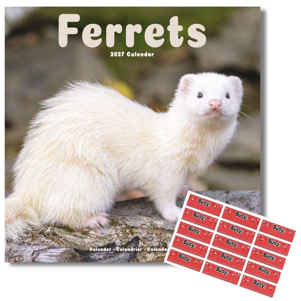 Avonside Ferrets 2027 Square Calendar with Organisational Stickers