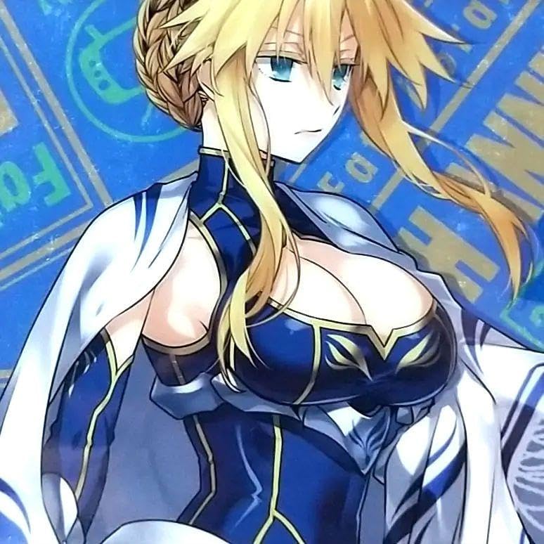fate　FGO セイバー　アルトリア　クリアファイル12点まとめ fate FGO セイバー アルトリア クリアファイル12点まとめ