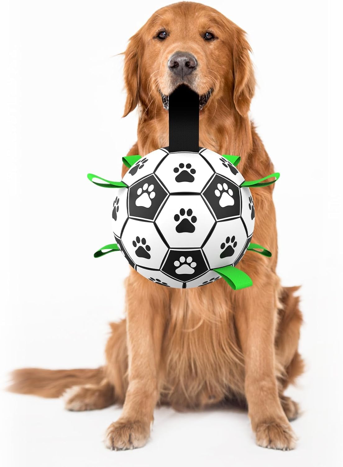 犬用スポーツボールセット Amazon.co.jp: 犬 サッカーボール スポーツ ミニサッカーゴールセット
