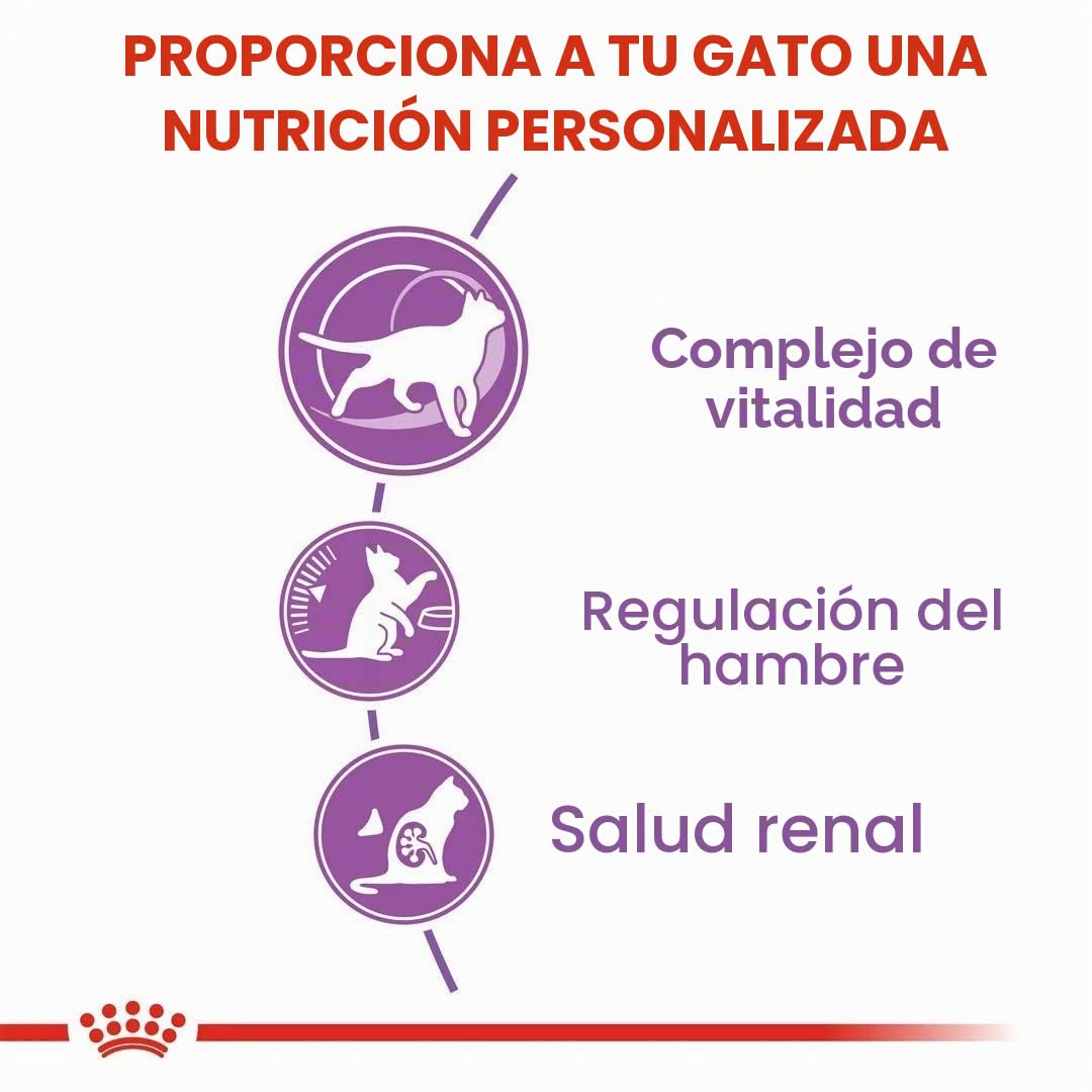 Royal Canin Alimentos Secos para Gatos esterilizados Control de apetito 7 Plus 3,5 kg