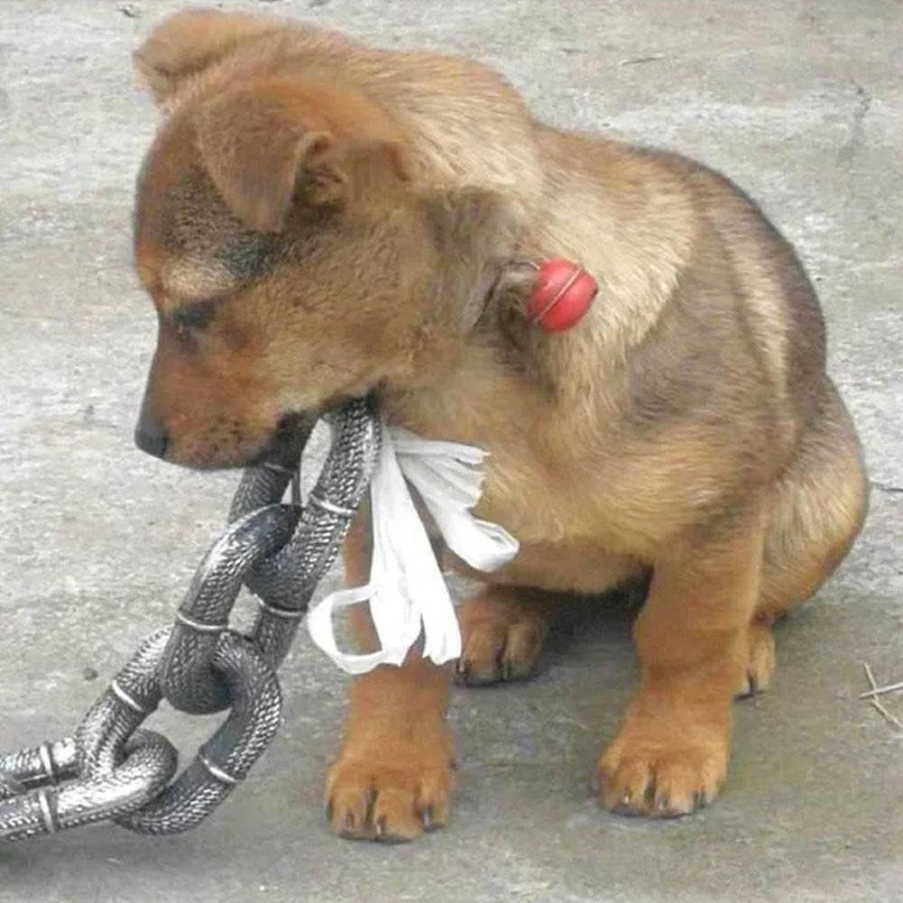 Falsa catena grande per cani, interessante catena realizzato in materiale plastico che imita la catena di ferro, solo per cani di piccola taglia, gatti e cuccioli, chihuahua, barboncino toy,