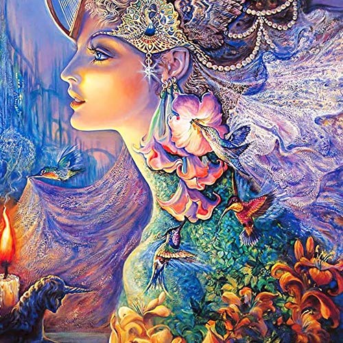 MiDenso Paint by Number DIY Acrylic Oil Paint by Numbers for Adults 16"X20" Beauty Girl Pattern with 3 Brushes and Colors