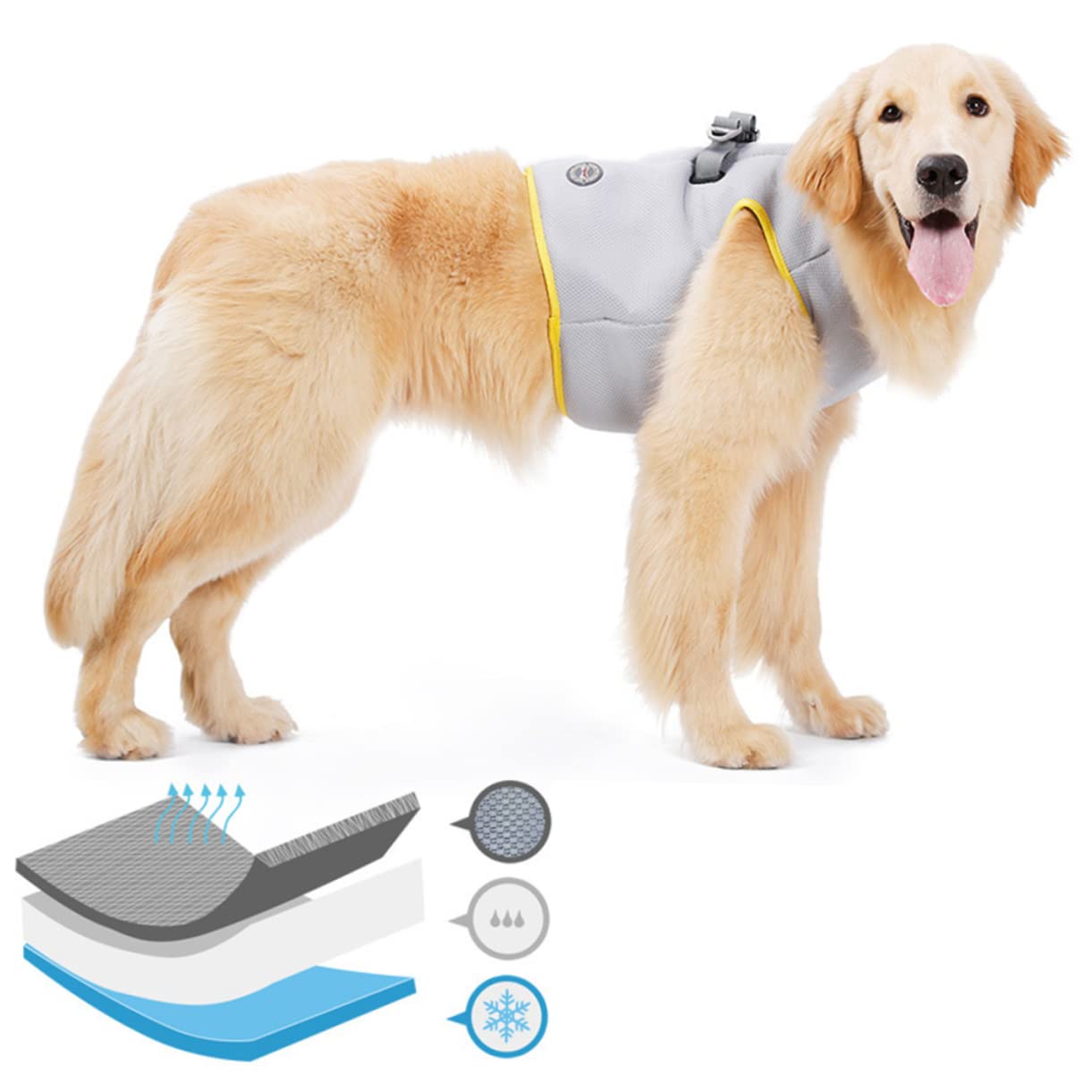 FRCOLOR 2 Pz gilet estivo raffreddamento harnesso cane traspirante gilet rinfrescante per cani giacca rinfrescante per animali domestici animale domestico Imbracatura corda