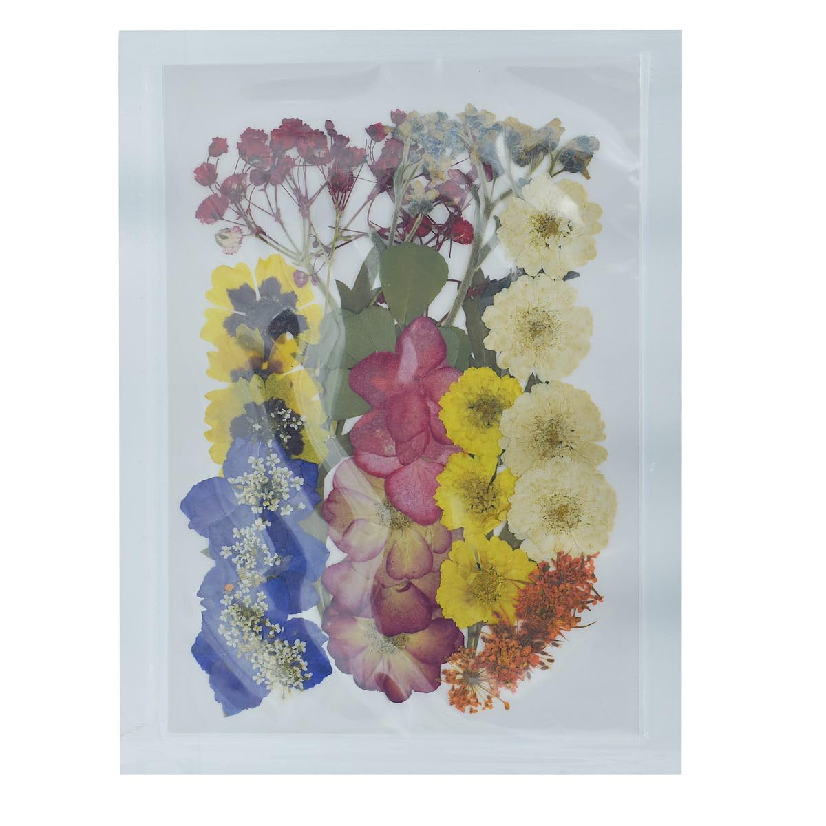 R&H Dried Flowers 37PCS Pack, for Resin Arts, soap Making, Candle Making, etc. (Design 4)-image-30