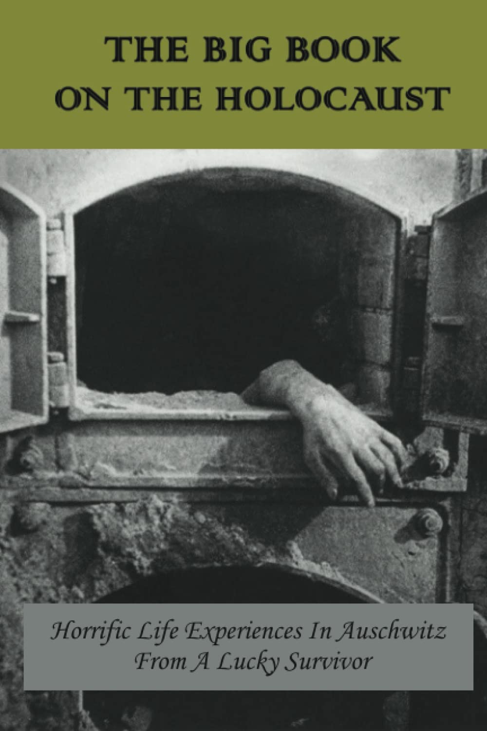 The Big Book On The Holocaust: Horrific Life Experiences In Auschwitz From A Lucky Survivor