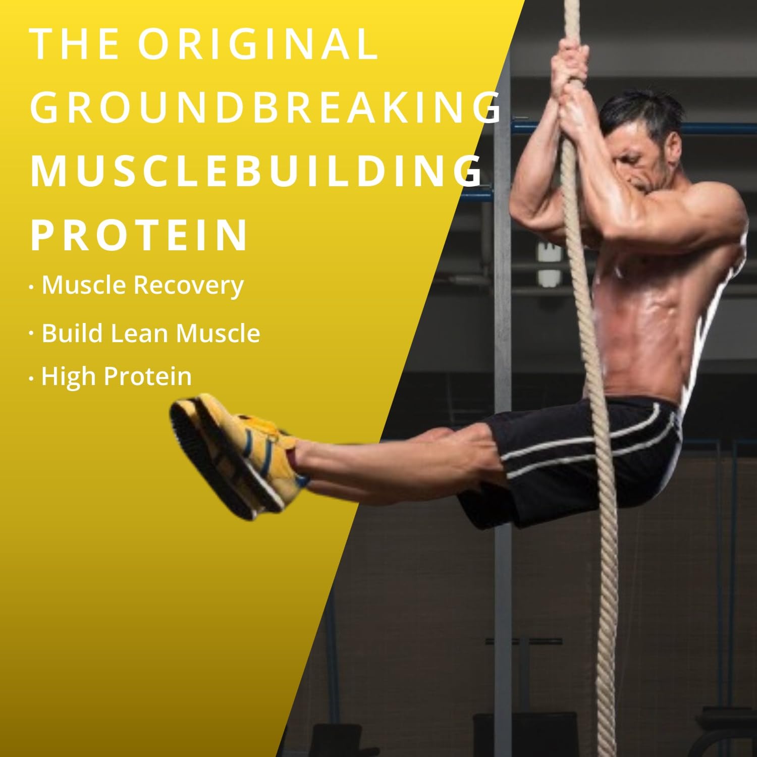 MuscleTrail Whey Protein Powder Gold Standard Series|24G Protein|5G Bcaa|4G Glutamine|Muscle Building Primary Source Isolate|2.048 Kg (2.048kg, Chocolate) — Amazon image 4