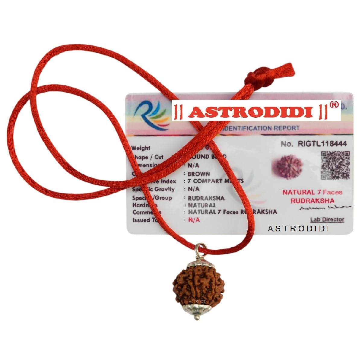 ASTRODIDISeven Face 7 Mukhi Rudraksha with Lab Report