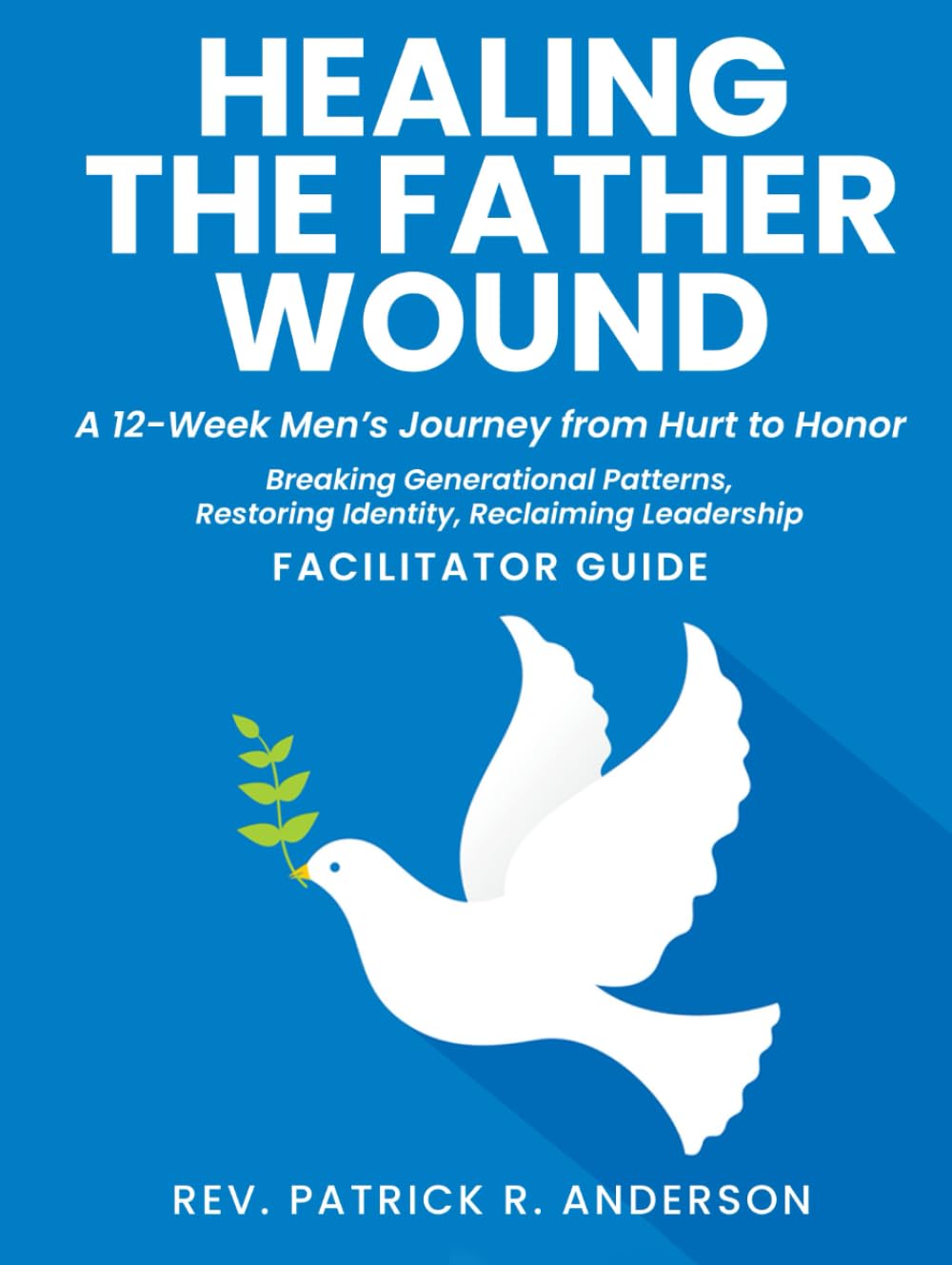 Healing the Father Wound: A 12-Week Men’s Journey from Hurt to Honor: Breaking Generational Patterns, Restoring Identity, Reclaiming Leadership (Facilitator Guide)