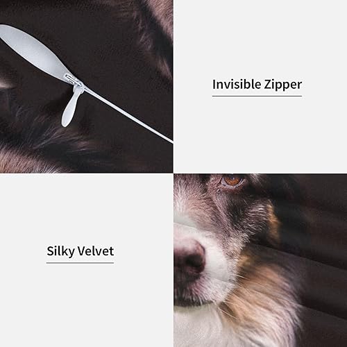 Miniatura 4 de Ovbflc Border Collie Double-Sided Plush Throw Pillow Cover (Pack of 2), Sofa Pillow, Home Decor Pillow Cover, Lumbar Pillow