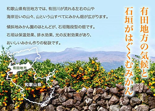 はちやフルーツ 有田みかん 赤秀 2L~Sサイズ 4.5kg の商品画像 2