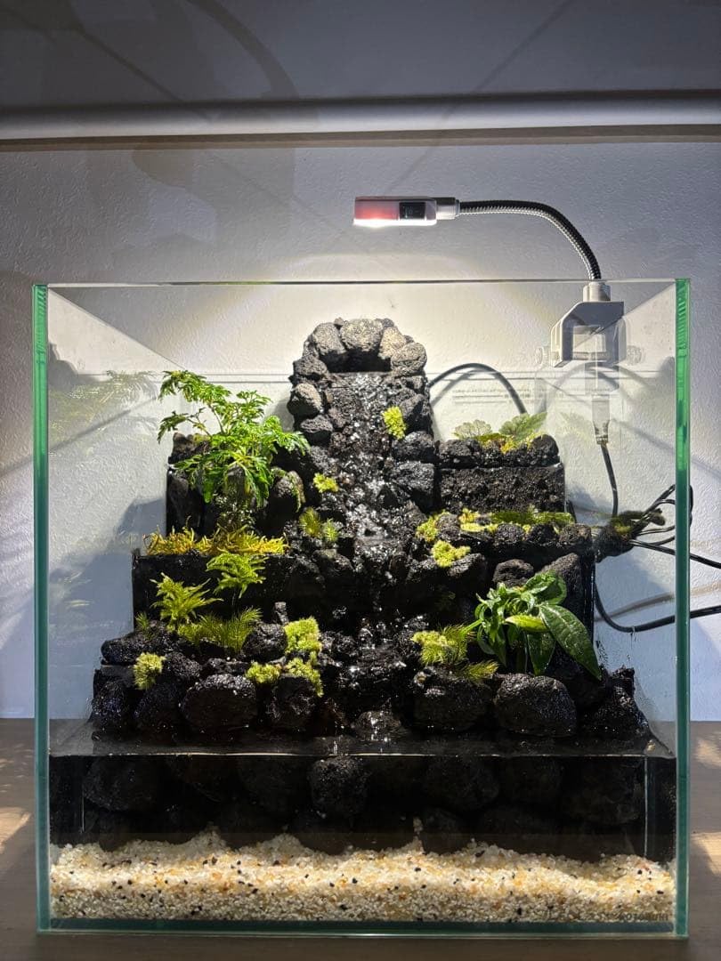 【〜5/6まで！GW限定価格！】アクアテラリウム 苔リウム 30×30×40cm Amazon.co.jp: 受注作 アクアテラリウム 滝 池 苔テラリウム 30cm水槽