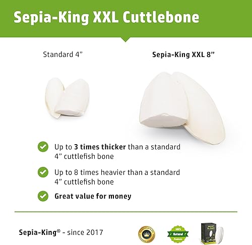 Miniatura 2 de Extra grande - Suplemento de calcio 100% natural - Cuttlebone Premium Perfecto para pájaros, tortugas, caracoles, reptiles - Paquete de 3