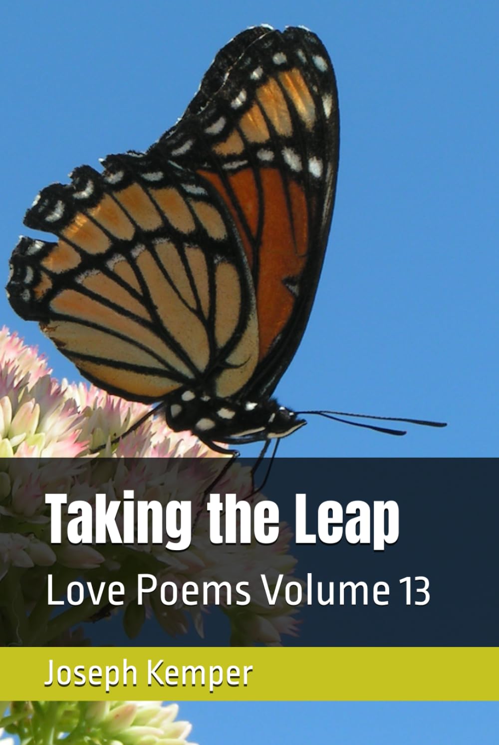 Taking the Leap: Love Poems Volume 13