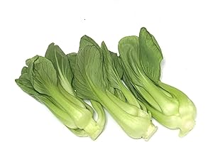One Pound Fresh Bok choy