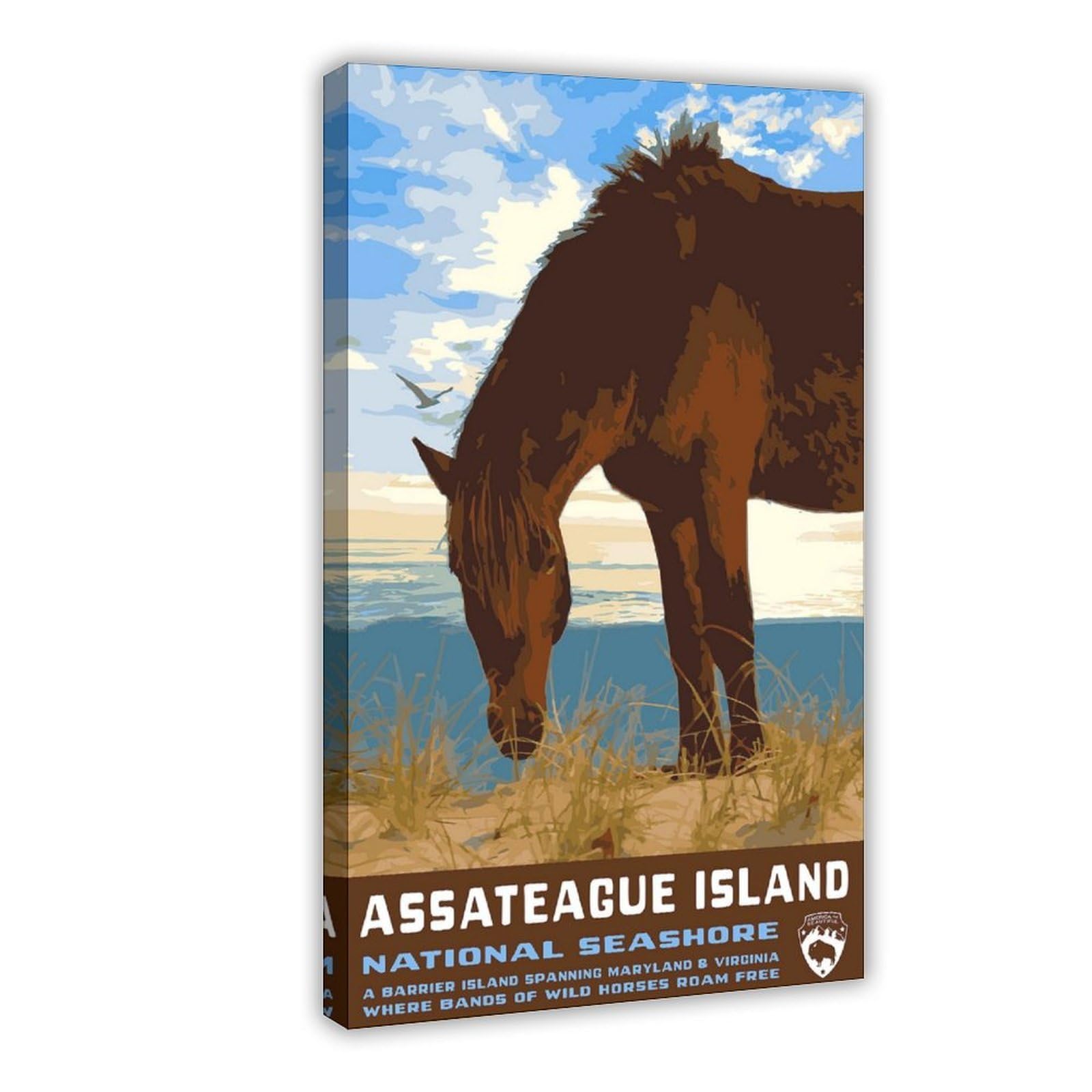 QIOTBVV Assateague National Seashore Travel Poster Canvas Poster Bedroom Decor Landscape Office Room Decor Gift 24" L X 36" W