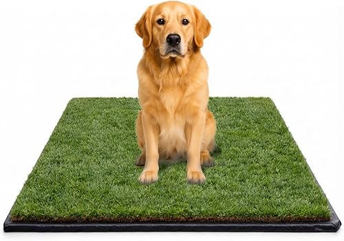 DoggieLawn Almohadillas XXL para orinar de césped real para perros con alfombrilla flexible - Alfombra de entrenamiento para perros de hierba fresca