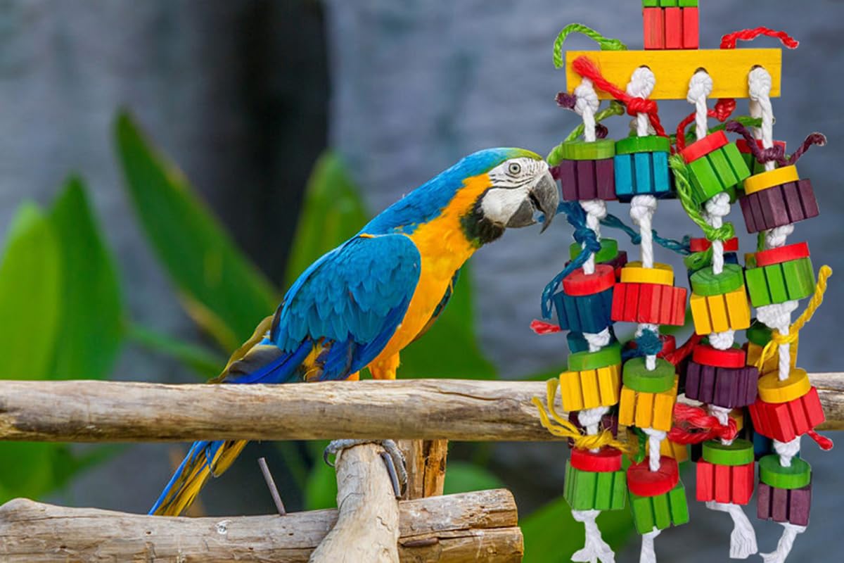 Grand oiseau perroquet jouets à mâcher pour aras, gris africain, perroquets amazones, cokatoos (50,8 cm)