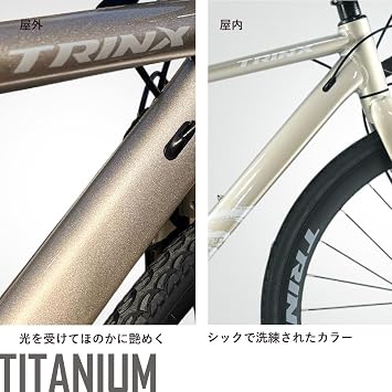 Tempo300 ロードバイク 自転車 700c シマノ 14段変速 デュアルコントロール ディスクブレーキ 軽量アルミ 通勤 通学 32c