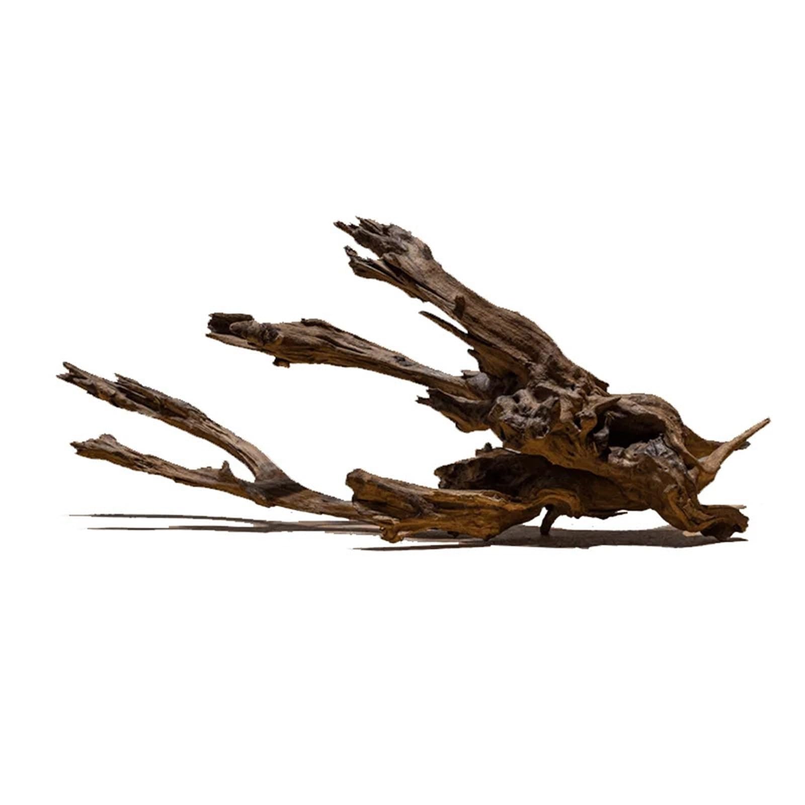 Legno per Acquario Legno Galleggiante for Acquario, Grande, Tronco d'albero, in Legno, Extra Large for la casa(20-25cm-2pcs)