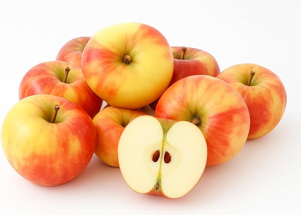 Äpfel Elstar vom Bodensee fein-säuerlicher Apfel 1-10 KG (2) neue Ernte 2025 - 2