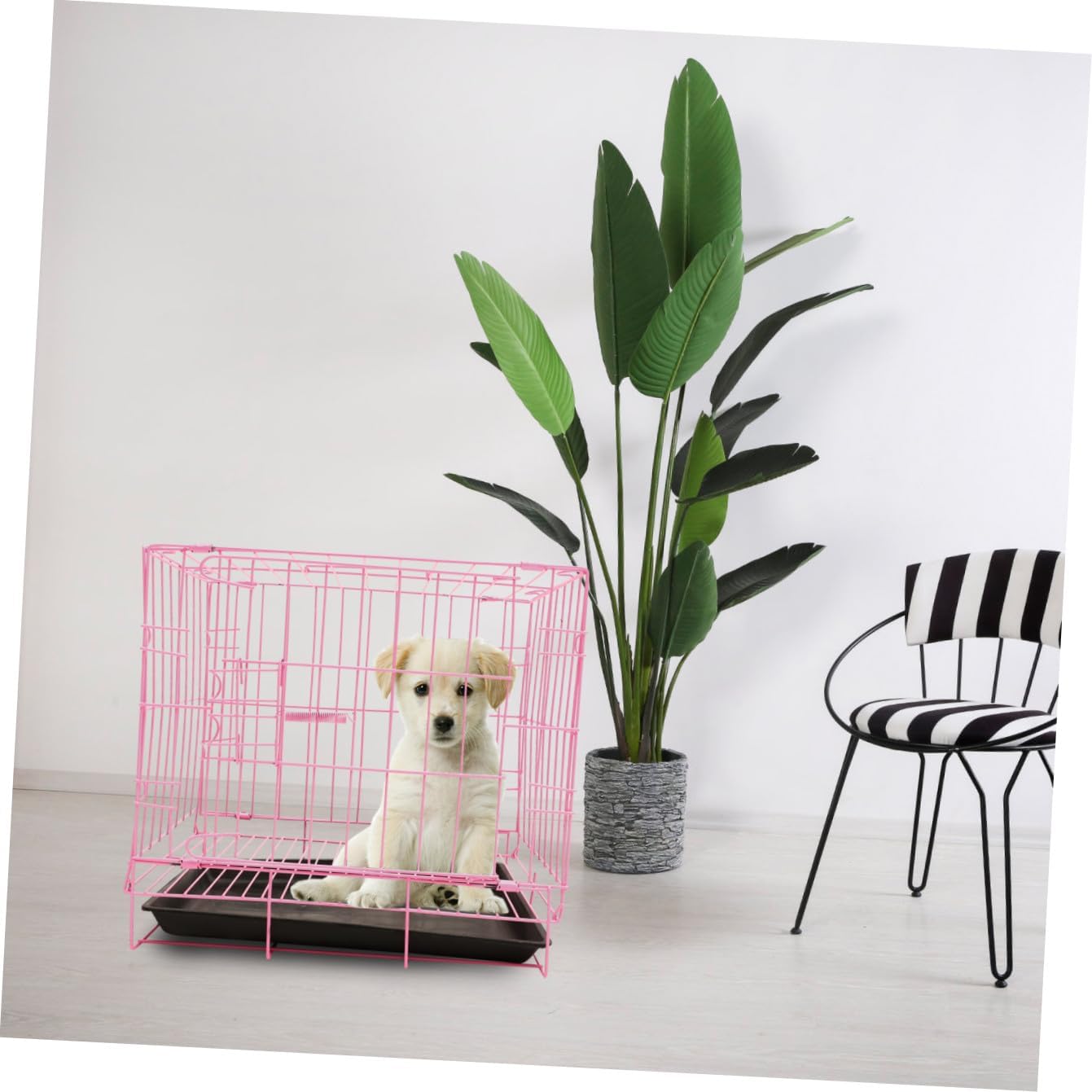 BESPORTBLE Foldable Dog Crate for Medium Small Dogs Steel Pet Cage with Handle Indoor/Outdoor Rabbit