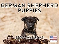 Vista 36 de Calendario de cachorro Golden Retriever 2027 mensual de pared de 12 meses