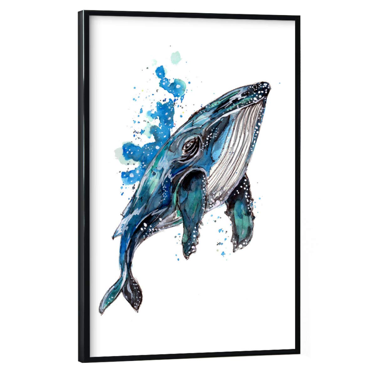 artboxONE Poster mit schwarzem Rahmen 60x40 cm Tiere Blauer Buckelwal - Bild buckelwal buckelwal Fisch