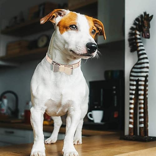 Miniatura 6 de EXPAWLORER Juego de collar y correa para perro, corbata clásica a cuadros para perro y bandana con campana, correa para perro sin enredos, collares
