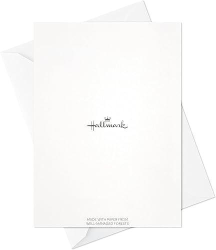 Miniatura 8 de Hallmark Invitaciones para fiesta de graduación 2021, 20 invitaciones con sobres (azul retro)