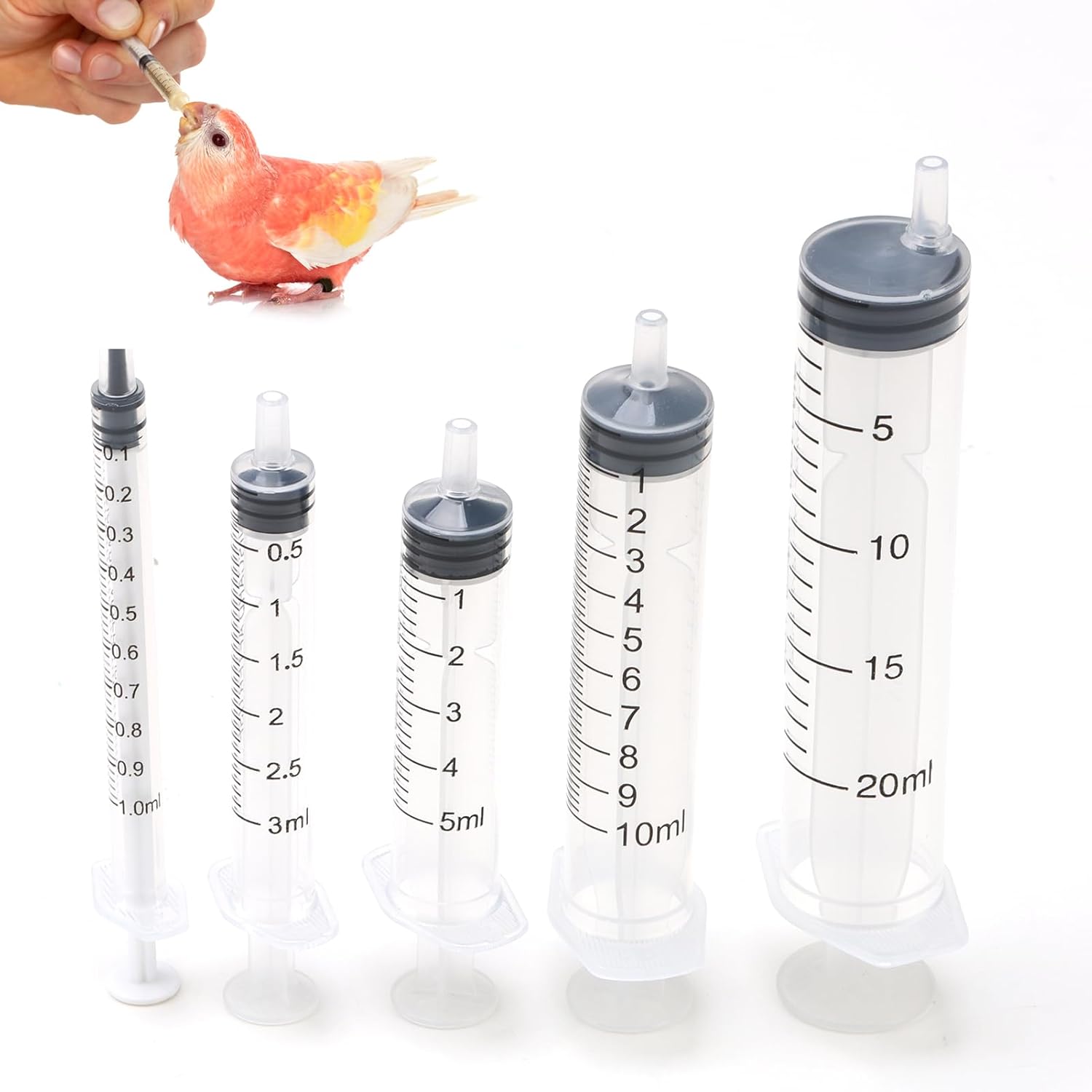 5 Spec Syringe Set 1ml 3ml 5ml 10ml 20ml Plastic Feeding Syringe for