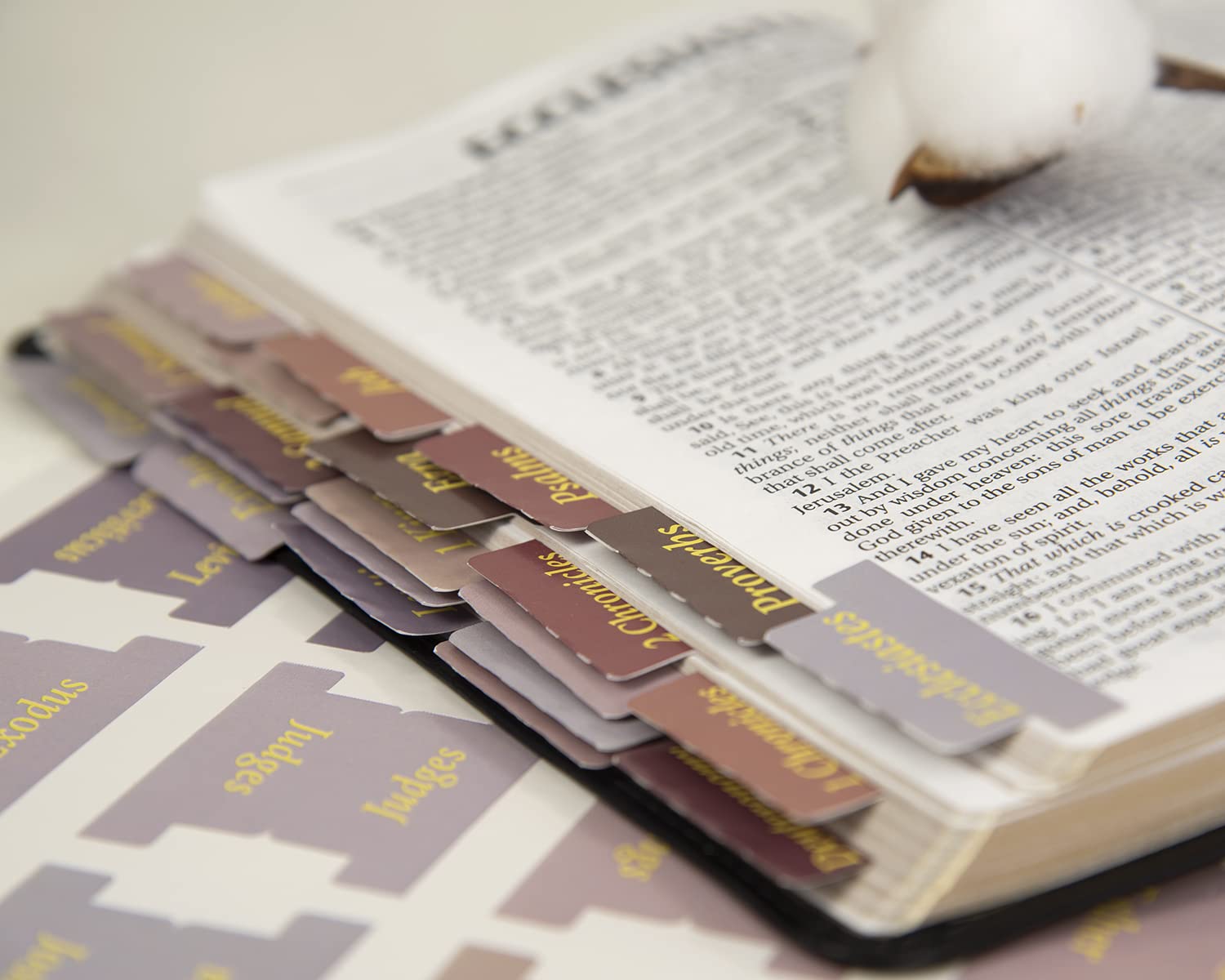 90 Linguette Adesive Per Bibbia - PVC, Blu, Con Etichette Vuote E Per Capitoli, Per Studio Biblico