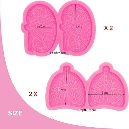 Miniatura 2 de Juego de 4 moldes de silicona brillantes para agarre de teléfono, pulmones, riñón, epoxi, moldes de silicona para carrete de insignia, enchufe de
