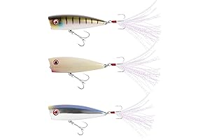 Topwater Popper Fishing Lures