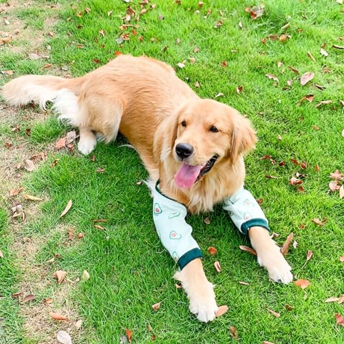 Image of Dog Elbow Protector, Thickened Elbow Sleeves with Mesh Pad for Medium Large Dogs Winter Autumn Prevent Licking Wound (Avocado,L)