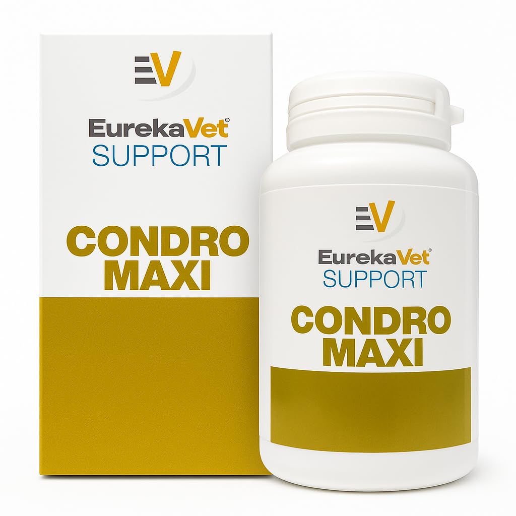 Eurekavet Support Condro Maxi 100 Compresse Integratore per Articolazioni Cani e Gatti | Condroprotettore per Cartilagini e Mobilità | con Glucosamina e MSM Supporto a Movimento e Benessere Quotidiano