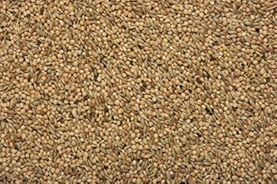 SkyGold Budgie 70/30 20Kg Cage and Aviary Food