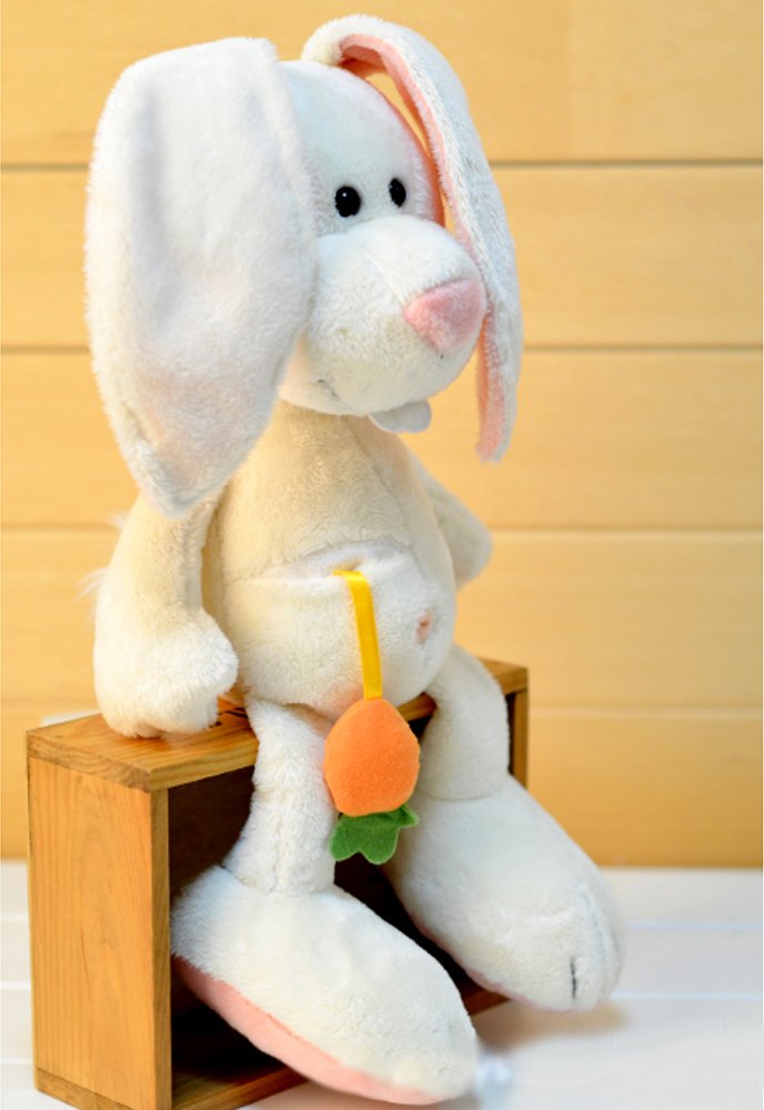 Cherubs Nici Large Size Cute Carrot Rabbit Stuffed Plush, 50cm (B07D7Y7NKQ) Amazon Price History, Amazon Price Tracker