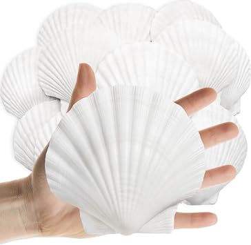 Lanwexy 16PCS Sea Shells Scallop Shells Natural White Sea Shells for DIY Craft Crafting,Painting,Baking,Home Decor and Beaching Wedding Decoration 10-12CM Seashells Bulk
