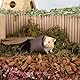 Niteangel Keramik Hamster Tunnel & Röhren Versteck - für Zwergrobo Syrische Hamster Mäuse Ratten oder andere Kleintiere (Tunnel - Klein)