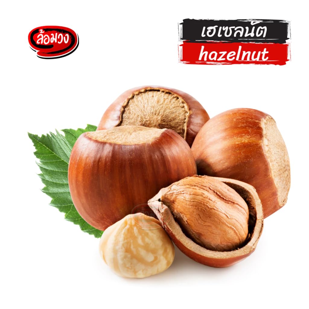 ล้อมวง Raw Shelled Hazelnuts, Whole Filberts – Unsalted and Unroasted Natural Hazelnuts for Baking, Confections, and Topping – Freshly Harvested in Resealable Bag (1000g)
