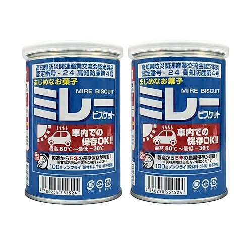 野村煎豆加工店 車載用 ミレービスケット 100g 賞味期限4年半保証 まじめなお菓子 ノンフライ 非常食 (2) (2個セット)