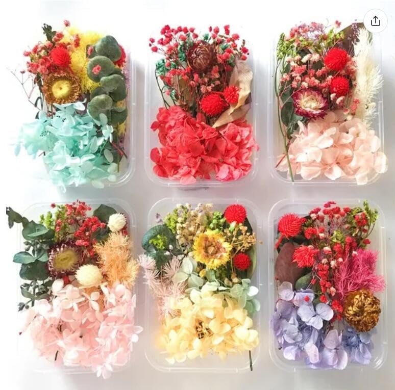 2 cajas de flores secas reales variedad color aleatorio miniatura 1