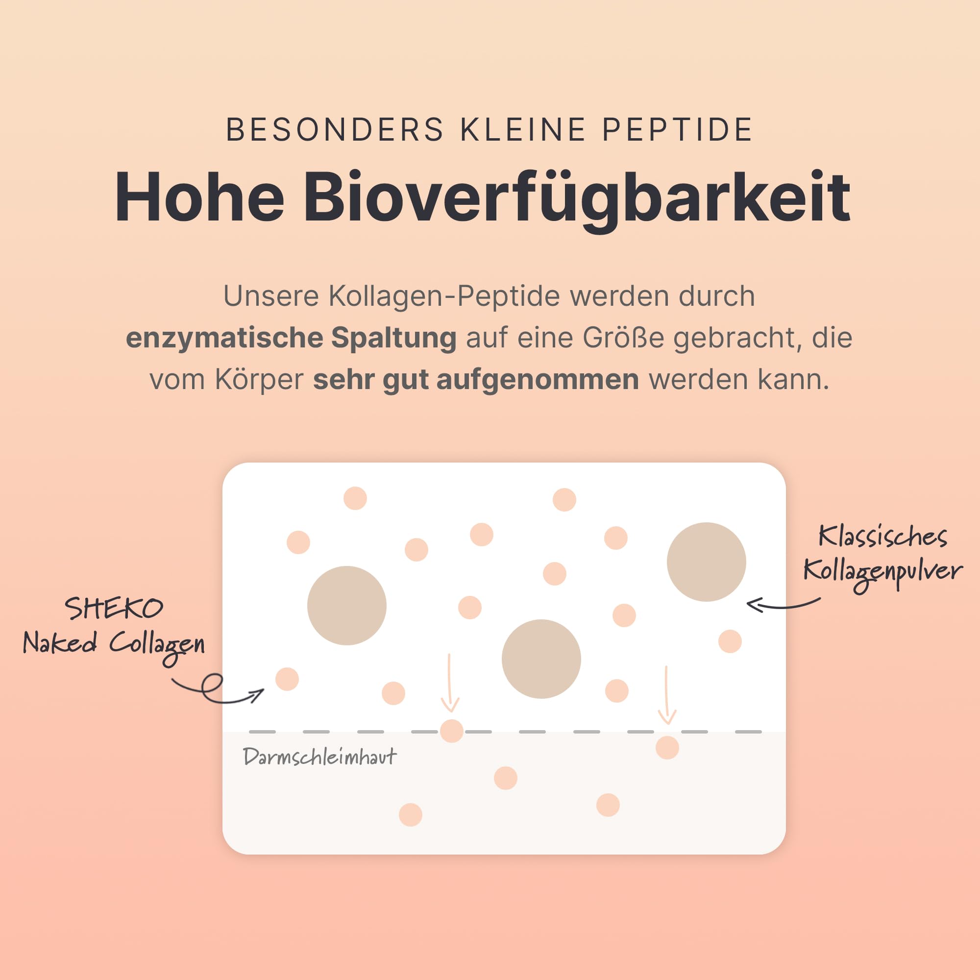 SHEKO Premium Kollagen Pulver 3x 450g - Natürliches Bioaktives Kollagen Hydrolysat - Peptide Typ 1, 2, 3 - Collagen Pulver - Reinste Qualität - Optimale Löslichkeit - Proteinpulver - Made in Germany