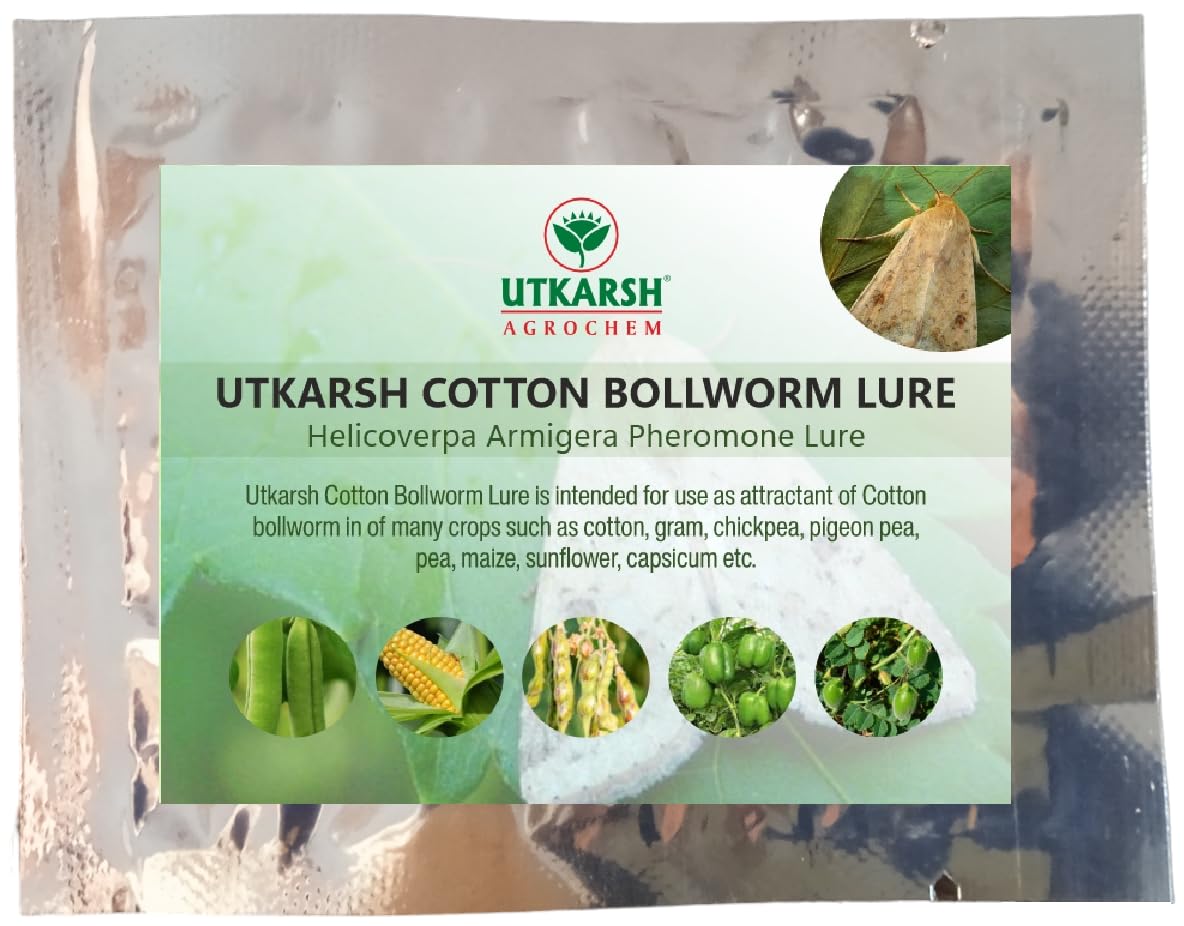 Utkarsh Cotton Bollworm Helicoverpa Armigera Pheromone Lure for Catching Insects/Moth of Green Leaf Cutting Caterpillars- 50 Lures (B0CMXPFCJ8) Amazon Price History, Amazon Price Tracker
