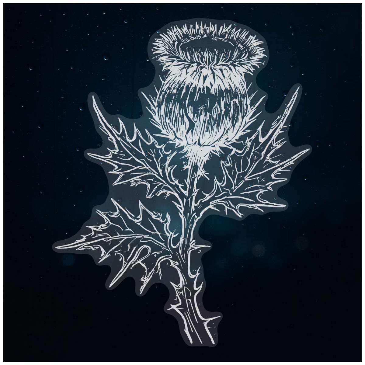 Azeeda Large 460mm 'Scottish Thistle' Clear Static Window Cling Sticker/Decal (White) (WC00105698)