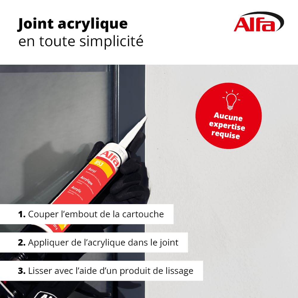 853 ALFA - Mastic acrylique de dispersion pour joints et fissures, lot de 20, 310 ml (6,2L), blanc, de qualité professionnelle, sans odeur, sans solvant, à forte adhérence