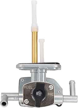 きょん 612qZpkJNvL._AC_UF350,