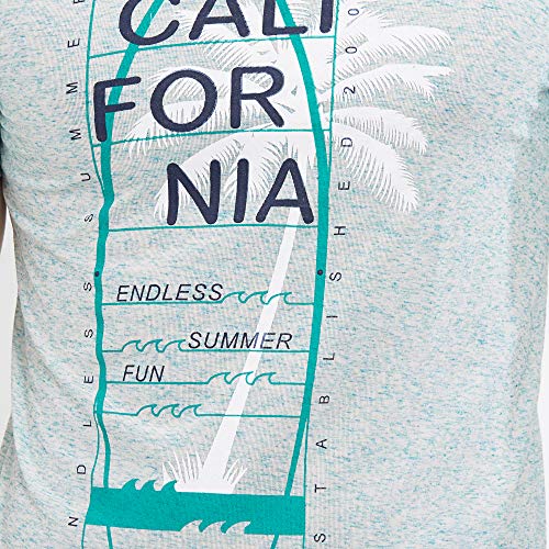 Image of Fitz Men's Regular Fit T-Shirt