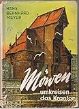  Möwen umkreisen das Krantor
